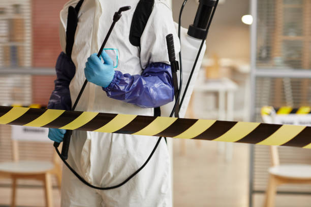 Professional Sewage Cleanup technician working in Sandia, TX
